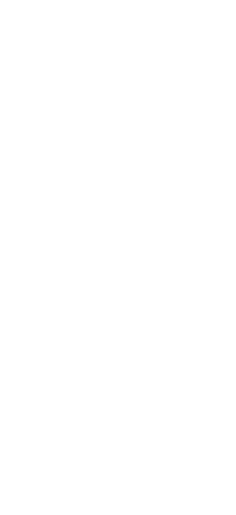 Dresdner Spitze Logo